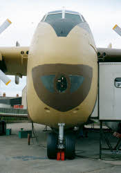 A head on view of the nose