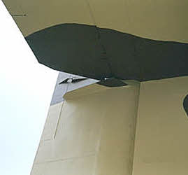 Tail and rudder