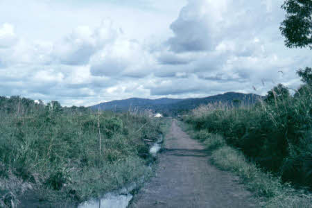 The Bario landscape